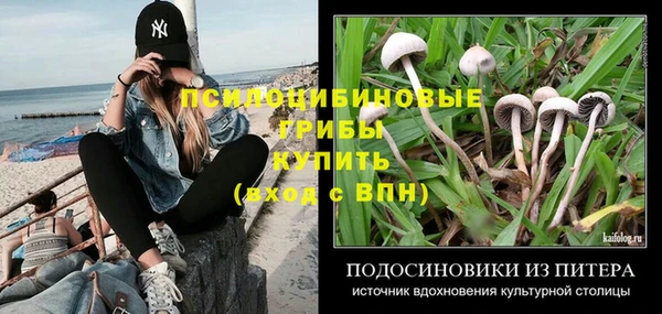 винт Горняк