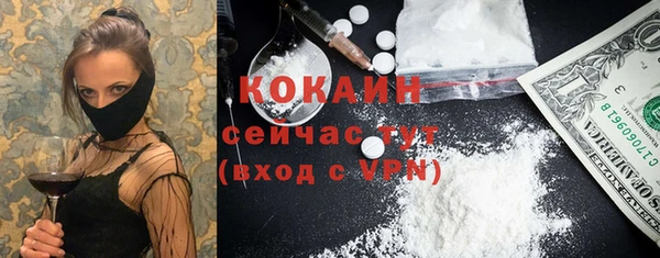 винт Горняк