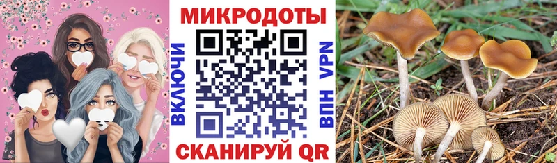 цена наркотик Егорьевск mega ТОР Псилоцибиновые грибы прущие грибы